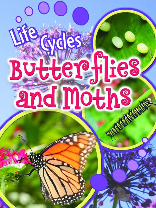 Cover image for Butterflies and Moths